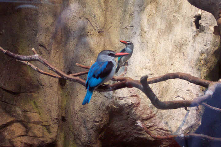 Hag-Voe.jpg (424120 Byte)